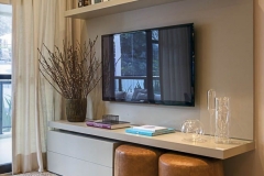 TV (1)