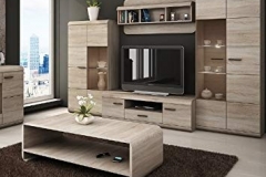 TV (11)
