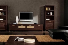 TV (6)