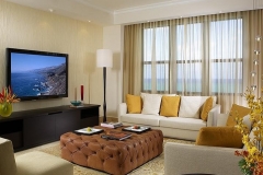 TV (9)